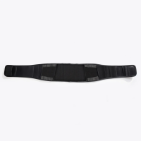 zomeeband2 Product Image